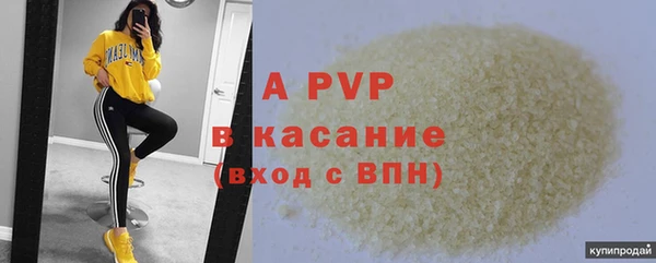 амф Богданович