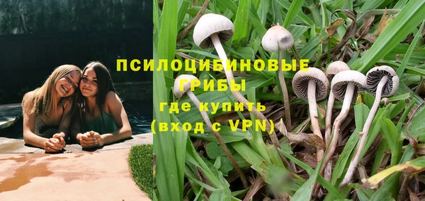 амф Богданович