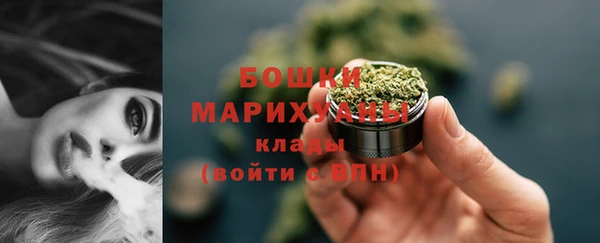 apvp Богородск