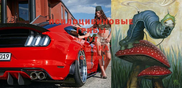 амф Богданович