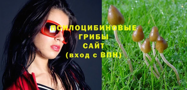 марки lsd Богородицк