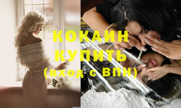 амф Богданович
