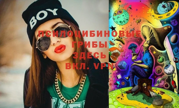 марки lsd Богородицк