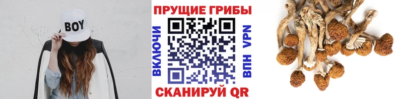 площадка Telegram Онега Галлюциногенные грибы ЛСД где купить наркоту